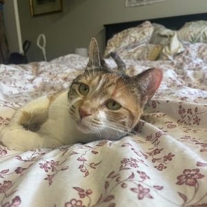 Meet your Posher, Christina